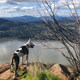 Illustration for article titled The Items You Need For a Very Good Hike With Your Very Good Dog